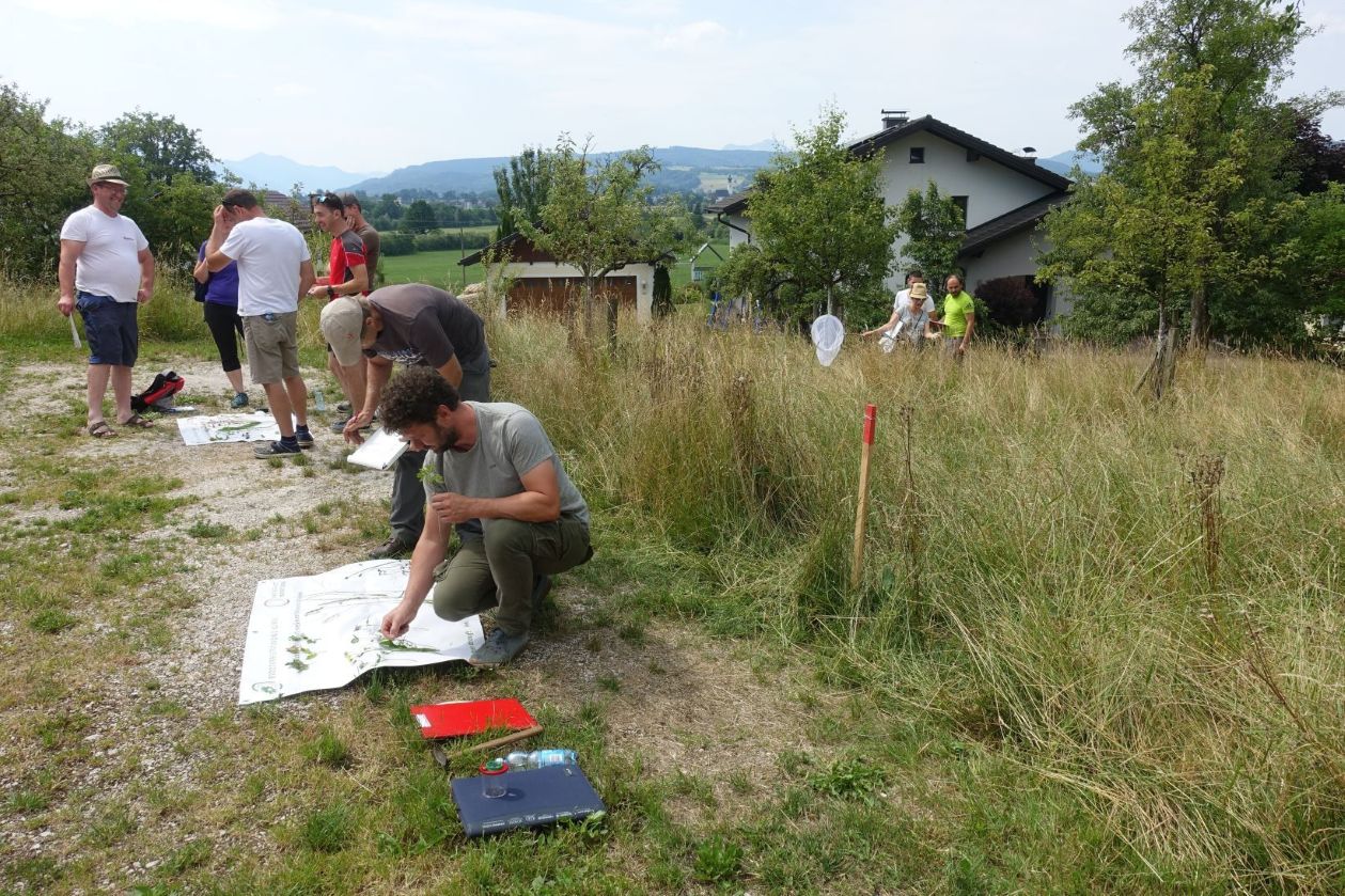 Einschulung Biodiversitätsflächen-Monitoring (c) LACON